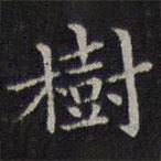 李元中写的楷书樹