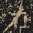 王绍宗写的楷书在