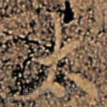 大观帖写的楷书太