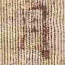 孝女曹娥碑写的楷书月