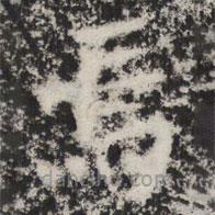 晖福寺碑写的楷书焉