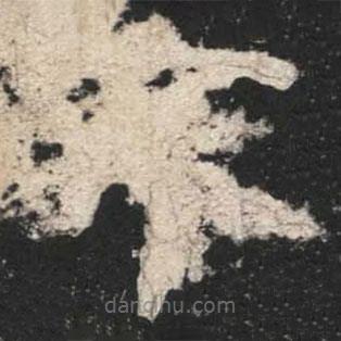 魏碑寫(xiě)的楷書(shū)不