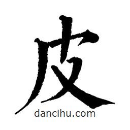 佚名寫(xiě)的楷書(shū)皮