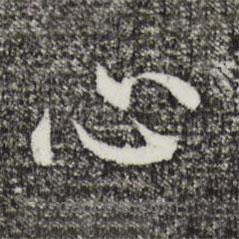 沈藻寫(xiě)的楷書(shū)心