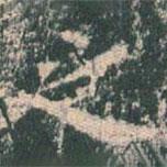 王玄宗写的楷书之