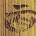 清华简写的隶书百