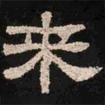 肥致碑写的隶书来