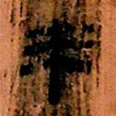 简帛写的隶书来