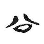 简帛写的隶书公