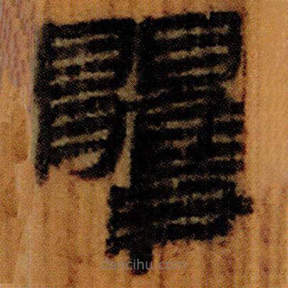 北大簡寫的隸書臞