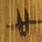 清华简写的隶书廿