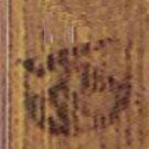 清华简写的隶书百