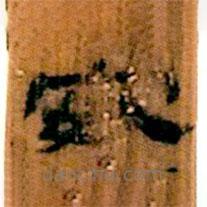 简帛写的隶书安