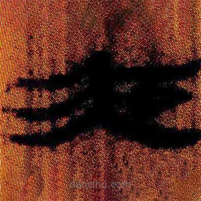 简帛写的隶书夜