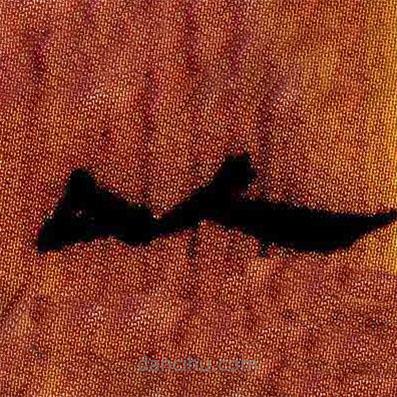 简帛写的隶书以