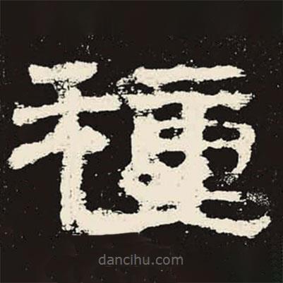史晨碑寫的隸書種