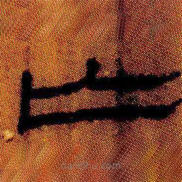 简帛写的隶书亡