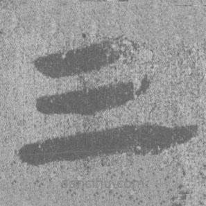 居延汉简写的隶书三