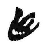 简帛写的隶书臣