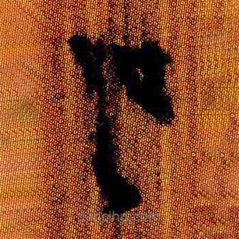 簡(jiǎn)帛寫(xiě)的隸書(shū)巳
