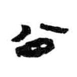 简帛写的隶书公