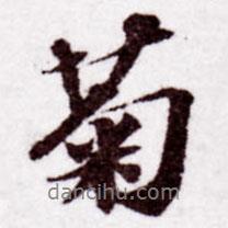 菊書法圖片