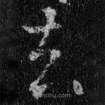 王羲之寫的行書去