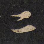 蘇軾寫(xiě)的行書(shū)二