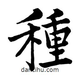 種書法圖片