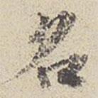 張雨寫的行書名