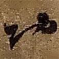 功書法圖片
