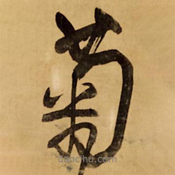 菊書法圖片