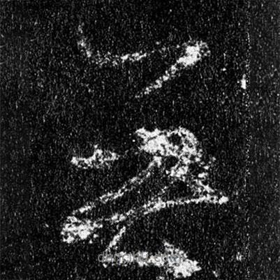 王羲之寫的行書無