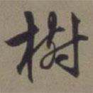 樹書法圖片
