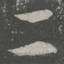 二書法圖片