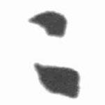 启功写的行书二