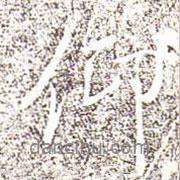 馮承素寫(xiě)的行書(shū)仰