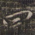 楊時寫的行書四