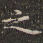 趙孟堅(jiān)寫(xiě)的行書(shū)之
