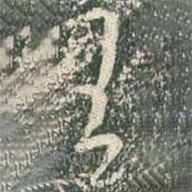 王書(shū)法圖片