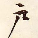 戶書法圖片