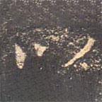 以書(shū)法圖片