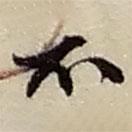 趙之謙寫(xiě)的行書(shū)不