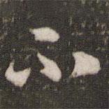 米芾写的行书不