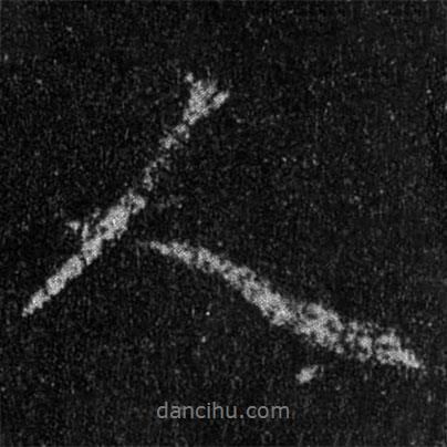 王羲之寫的行書人