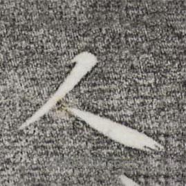 人書(shū)法圖片