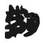 简帛写的篆书荆