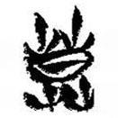 簡(jiǎn)帛寫(xiě)的篆書(shū)莫