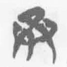 簡帛寫的篆書承