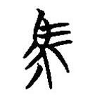 楚簡寫的篆書馬
